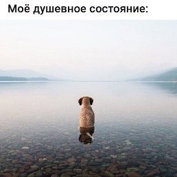 �����, ������