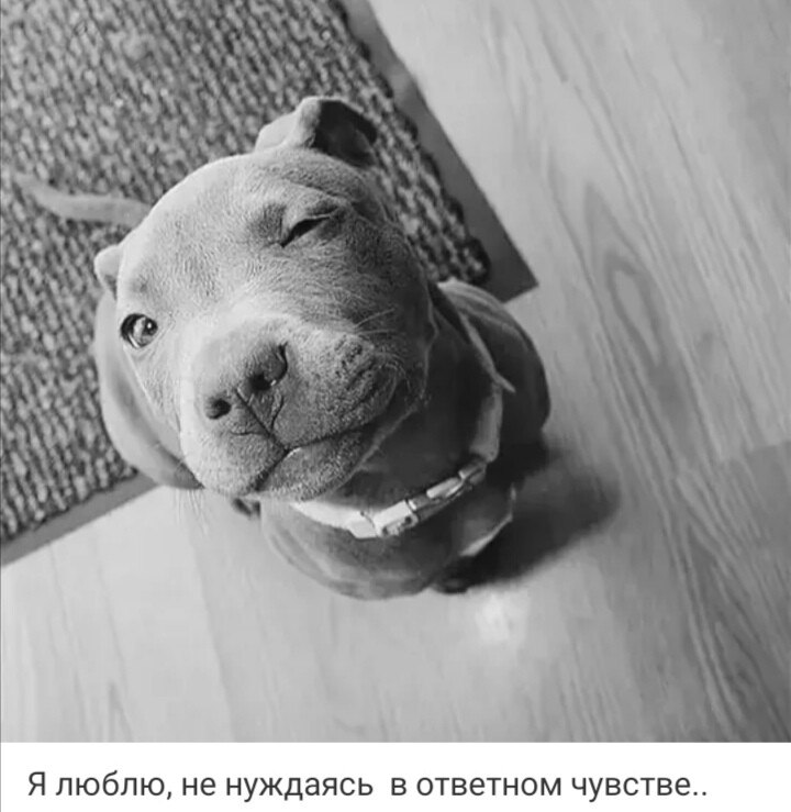 ***Victoria Viktorovna*** - 23  2025  02:31