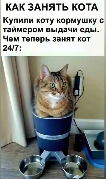 �� ����� ������! - 10 ���� 2026 � 10:44