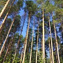���� �������, ���������, 50 ��� - ��������� 25 ������� 2024 � ������ ������ ��������