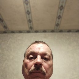 , 61 , 