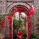 ���� �������, ������ - ��������� 30 ����� 2025 � ������ ���� ����������