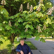 , 54 , 