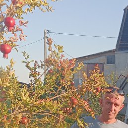 , 40, 