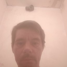 , 43, 