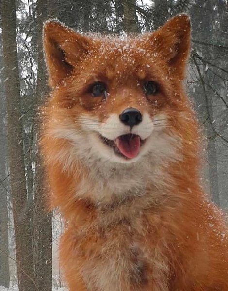 ���� ��� ��� ����� �� ������. ����� ����� � ����� ��������� - 4