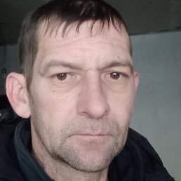 �����, ���������, 40 ���