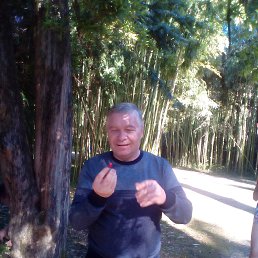 , 61, 