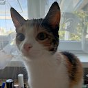 ���� �����, ����������, 47 ��� - ��������� 19 ������ 2025 � ������ ������ ��������