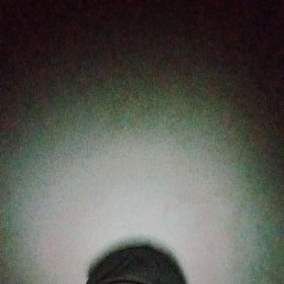 ���, ���������, 41 ���