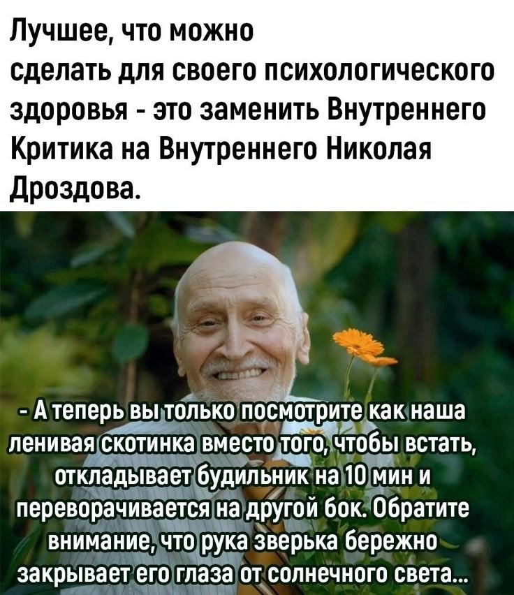   - 31  2025  07:04