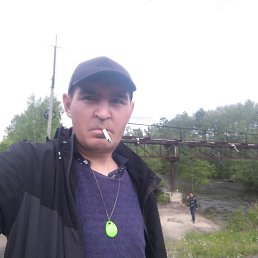 , 33, 