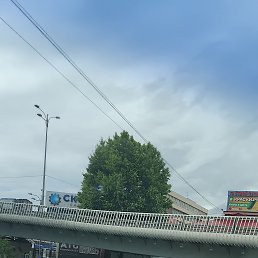 ���� �����, ������, 35 ��� - ��������� 6 ���� 2026