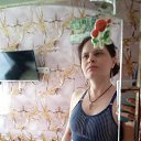 ���� ������� ��������, ������, 38 ��� - ��������� 1 ������ 2026 � ������ ���� ����������