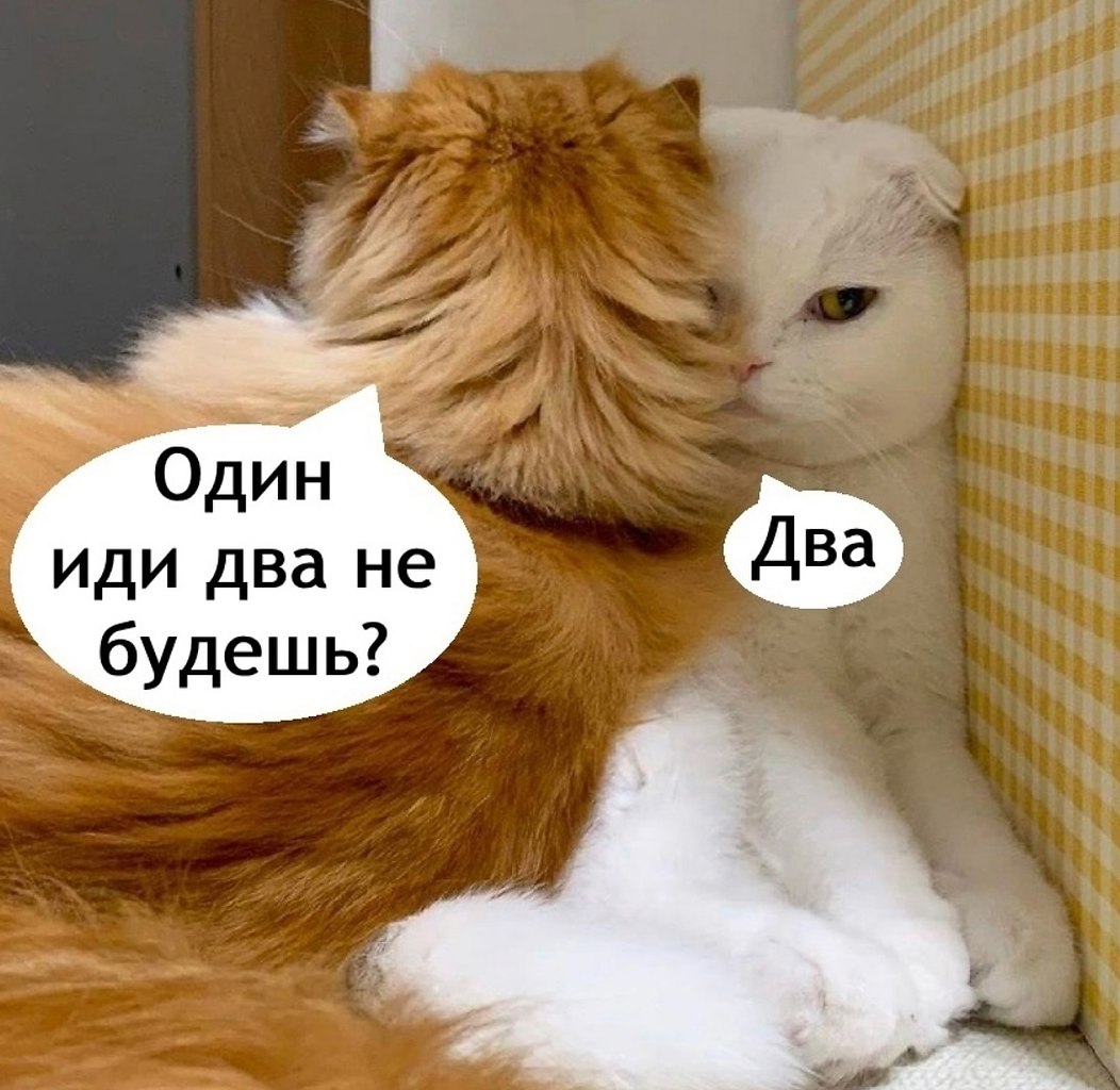  ,   - 3