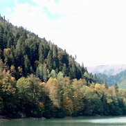 ���������, 36 ���, ������