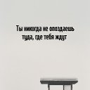 ���� �����, ���� - ��������� 17 �������� 2026 � ������ ������ ��������