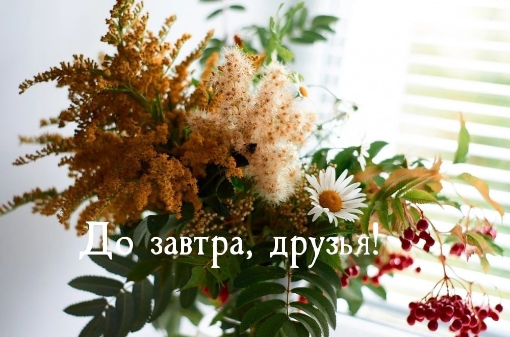   ,    . - 3  2025  19:25 - 2