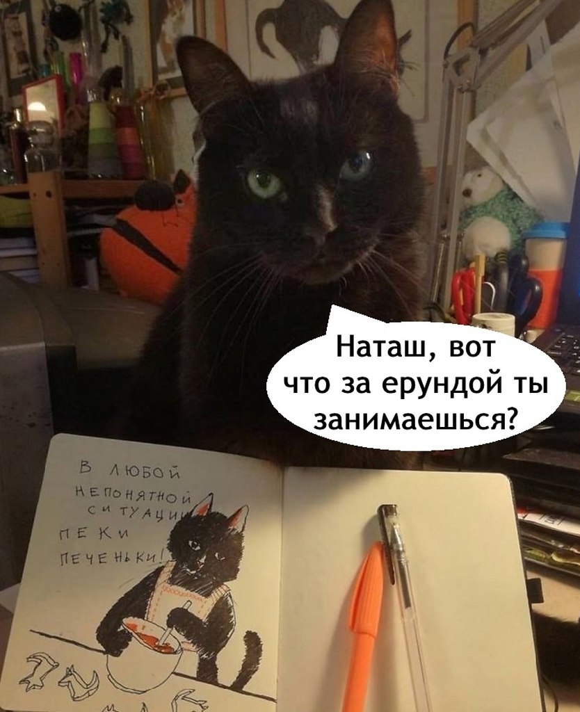 ���� ��� �� �� ���� ������� ������ ���