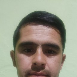 , 29, 