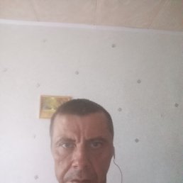 , 38, 