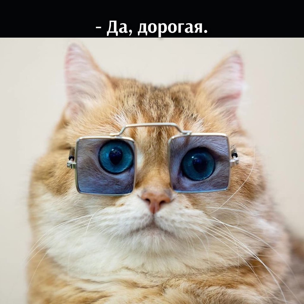 ��� ���� � ����� �� �� - 18 ������� 2025 � 11:03 - 6