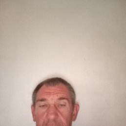 ���� �����, ���������, 49 ��� - ��������� 11 ��� 2026
