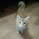 ���� ������, �����-���������, 30 ��� - ��������� 27 ������� 2024 � ������ ���� ����������