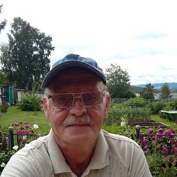 , 61, 