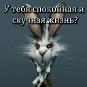 ���� ���������, �����-��������� - ��������� 10 ����� 2026