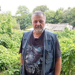 , 61 , 