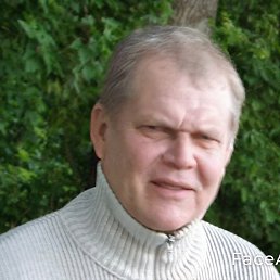 ���� �������, ���������, 38 ��� - ��������� 27 ������ 2025