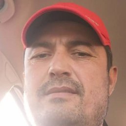 �����, ������, 46 ���