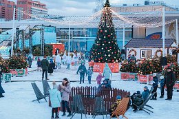 �����������