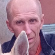 , 47 , 