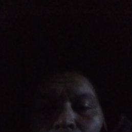 , 37, 