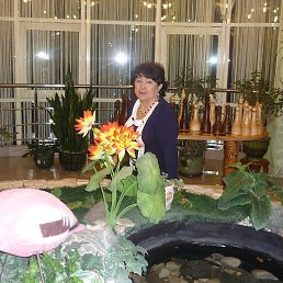 �������, ���, 58 ���