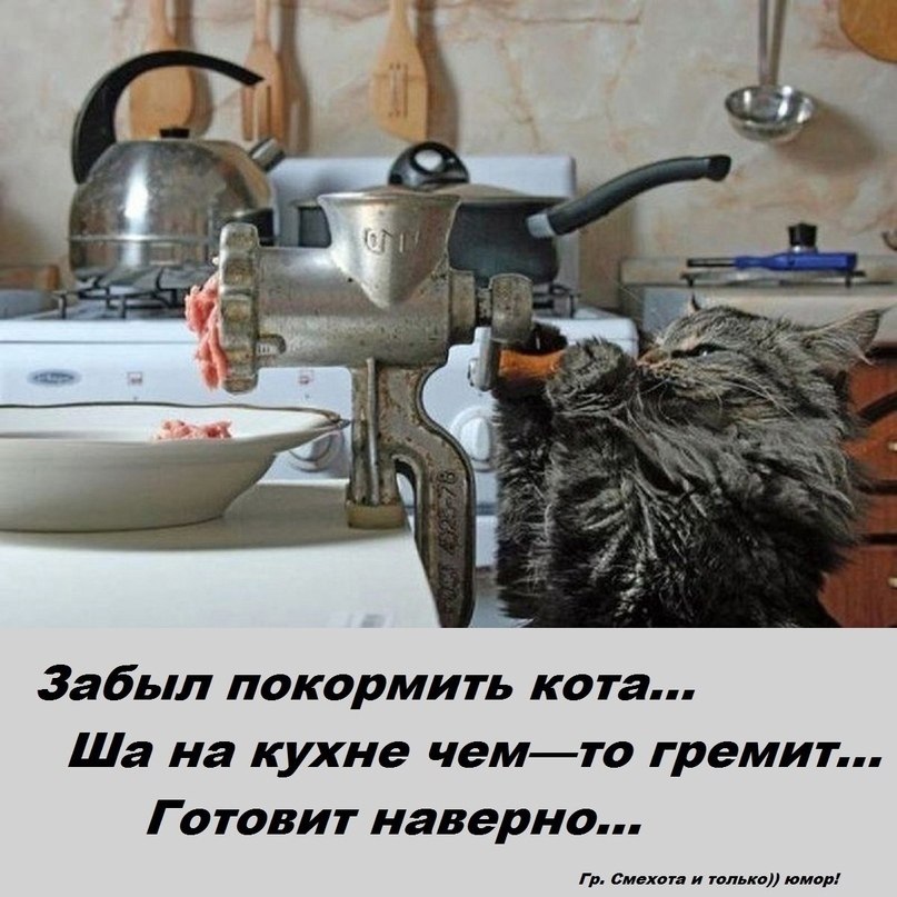  - 8  2024  17:37