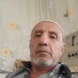 , 65, 