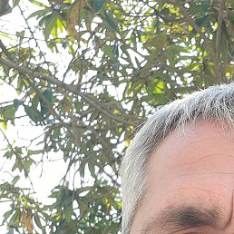 ����, �����, 54 ����