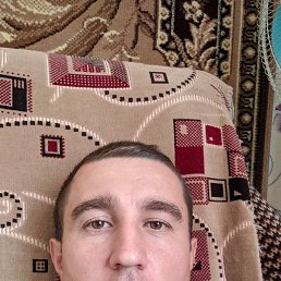 , 38, 