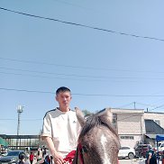 , 33 , 
