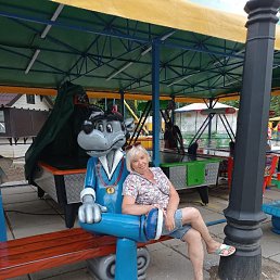 , 58, 