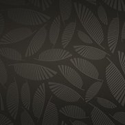 ����, 17 ���, ���������