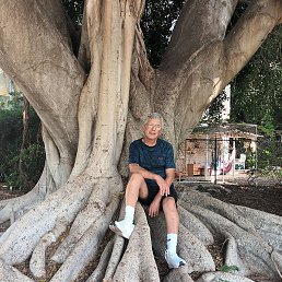 �������, ���������, 66 ���