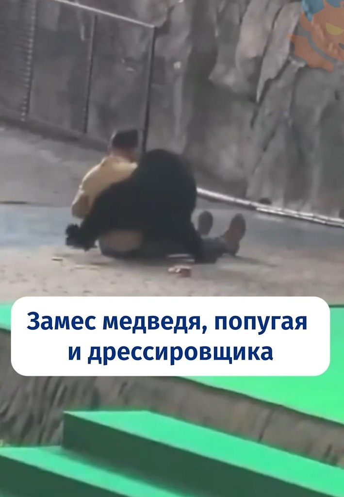 � ��������� �������� ������� ���������� �� �������������, �� ����� ��� ����������.� ������-����� ...