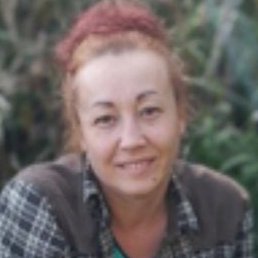 ���, ��������, 38 ���