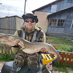 ������, ���������, 53 ����