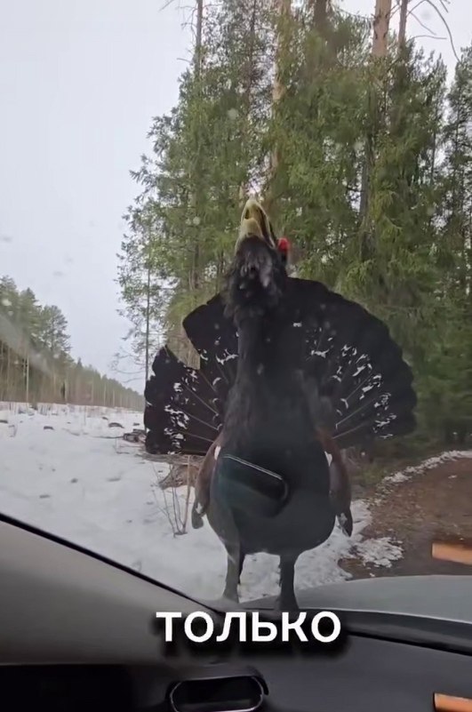 ec  cpe ap. o  oe pe, o oo ee aac. - 2