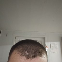, , 41 